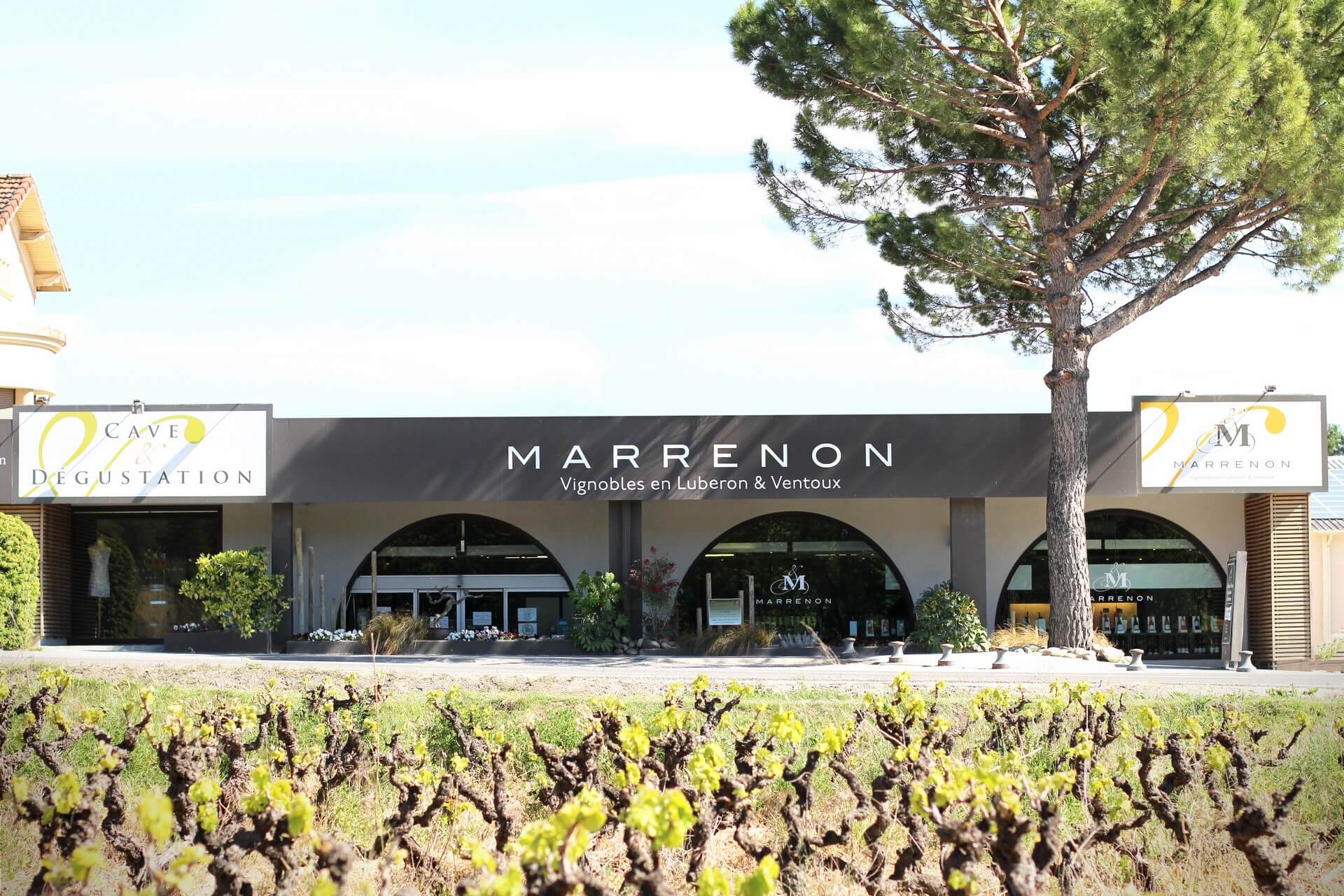 Domaine viticole Marrenon