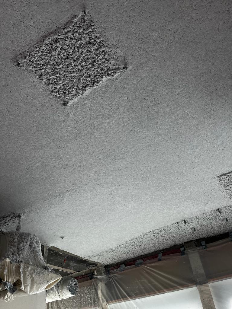 Projection laine minérale bois